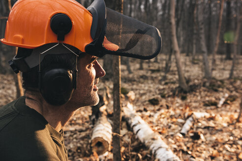 Porträt eines männlichen Holzfällers mit orangefarbenem Schutzhelm, der in den sonnenbeschienenen Herbstwald blickt - CUF10695