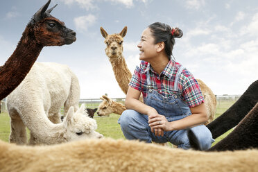 Woman sitting with alpacas, face to face, smiling - CUF10702