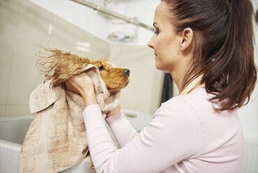 Hundefrisörin trocknet den Kopf eines Cockerspaniels im Hundesalon mit einem Handtuch - CUF10941