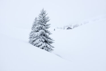 Austria, Salzburg State, Heutal, Sonntagshorn, snow-covered landscape - HAMF00296