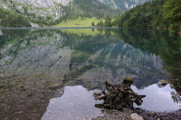 Germany, Bavaria, Berchtesgaden Alps, Lake Obersee, water reflection - HAMF00297