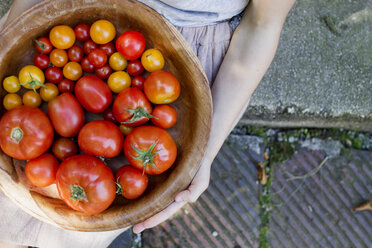 Kind hält Schüssel mit Tomaten - CUF11330