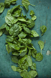 Spinach leaves on green background - ASF06182