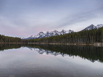 Icefields Parkway, Highway 93, Lake Louise, Alberta, Kanada - CUF11572