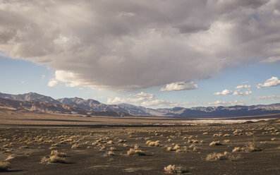 Landschaft am Ubehebe-Krater im Death Valley National Park, Kalifornien, USA - CUF11581