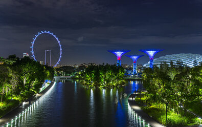 Blaues Riesenrad und Supertree Grove an der Marina Bay Waterfront bei Nacht, Singapur, Südostasien - CUF11598