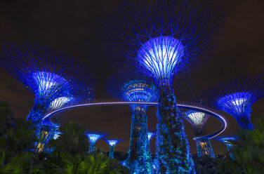 Blauer Supertree Grove bei Nacht, Singapur, Südostasien - CUF11600