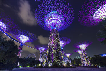 Lila Supertree Grove bei Nacht, Singapur, Südostasien - CUF11601