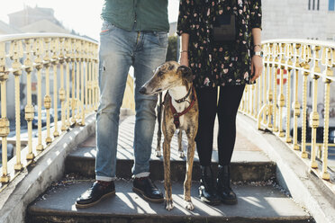 Waist down view of couple with dog standing on footbridge - CUF12407