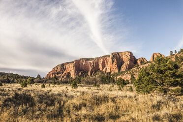 Felsformation, Zion-Nationalpark, Springdale, Utah, USA - CUF12727