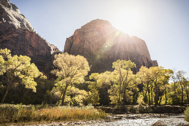 Panoramablick, Zion-Nationalpark, Springdale, Utah, USA - CUF12730