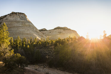 Checkerboard Mesa, Zion-Nationalpark, Springdale, Utah, USA - CUF12736