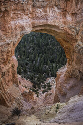 Bryce Canyon National Park, Bryce Canyon, Utah, USA - CUF12744