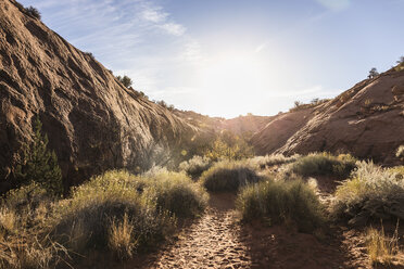 Escalante, Utah, USA - CUF12750