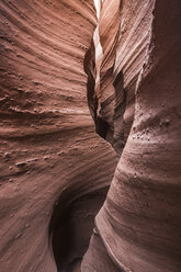 Felsformation, Escalante, Utah, USA - CUF12754