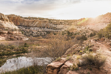 Escalante, Utah, USA - CUF12759