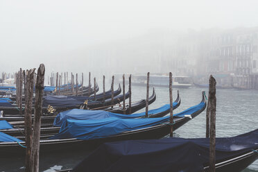 Reihen von Gondeln auf einem nebligen Kanal, Venedig, Italien - CUF13125