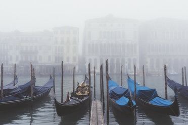 Reihen von Gondeln auf einem nebligen Kanal, Venedig, Italien - CUF13126