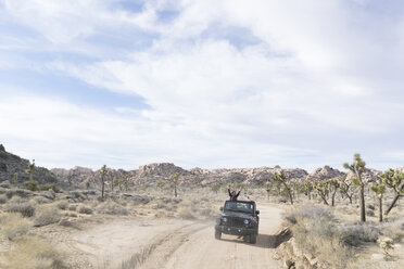 Älteres Paar im Geländewagen in der Wüste, Joshua Tree National Park, Palm Springs, Kalifornien, USA - ISF02152