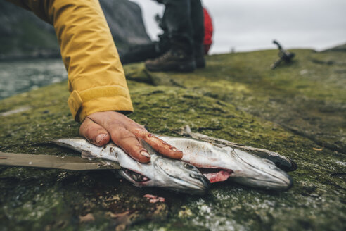 Norwegen, Lofoten, Moskenesoy, Junge Männer säubern fangfrischen Fisch am Strand von Horseid - GUSF00864