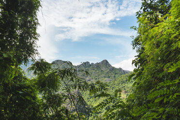 Laos, Vang Vieng, jungle landscape with mountain - AFVF00522