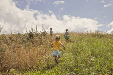 Three young children exploring, outdoors - ISF02459