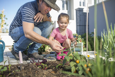 Father and daughter in garden together, tending to garden - ISF02898