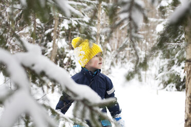Boy in yellow knit hat gazing in snow covered forest - ISF03078