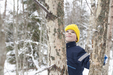 Junge mit gelber Strickmütze schaut zu einem Baum im verschneiten Wald hinauf - ISF03082
