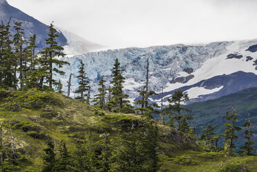 Panoramablick, Prince William Sound, Whittier, Alaska, Vereinigte Staaten, Nordamerika - ISF03099