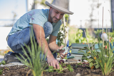 Young man tending to plants in garden - ISF03128