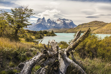 Berglandschaft mit Grey Lake, Paine Grande und Cuernos del Paine, Nationalpark Torres del Paine, Chile - ISF03457