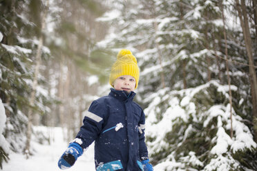 Portrait of boy in yellow knit hat walking in snow covered forest - ISF03508