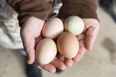 Cropped view of woman holding eggs - ISF03704
