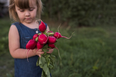 Young girl holding bunch of fresh radishes - ISF03775