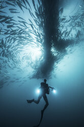 Underwater view of scuba diver diving below shoaling jack fish in blue sea, Baja California, Mexico - ISF03853