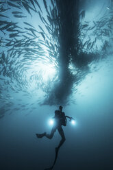 Unterwasseransicht eines Tauchers, der unter schwimmenden Stachelmakrelen im blauen Meer taucht, Baja California, Mexiko - ISF03853