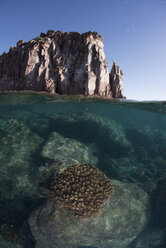 Isla Espiritu Santo, La Paz, Baja California Sur, Mexico - ISF03858