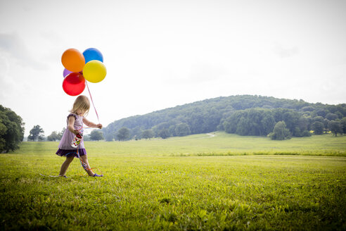 Mädchen, das in einem ländlichen Feld mit einem Bündel bunter Luftballons spazieren geht - ISF03960