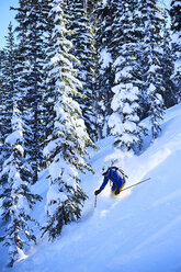 Man skiing down steep snow covered forest, Aspen, Colorado, USA - ISF04030