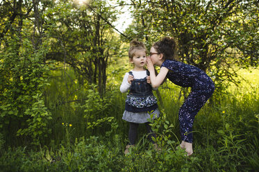 Girl whispering to little sister in field with trees - ISF04385