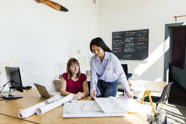 Colleagues in office discussing blueprints - ISF04450