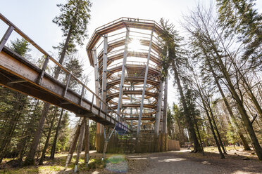 Germany, Bad Wildbad, Black Forest, Canopy Walk Black Forest against the sun - WDF04669