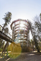 Germany, Bad Wildbad, Black Forest, Canopy Walk Black Forest against the sun - WDF04670