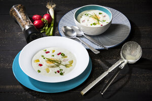 Kalte Suppe, Buttermilch-Sauerrahm-Kartoffelsuppe mit Ei, Rettich, Frühlingszwiebeln - MAEF12608