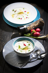 Kalte Suppe, Buttermilch-Sauerrahm-Kartoffelsuppe mit Ei, Rettich, Frühlingszwiebeln - MAEF12609