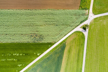 Germany, Baden-Wuerttemberg, Schurwald, Aerial view of fields in spring - STSF01573