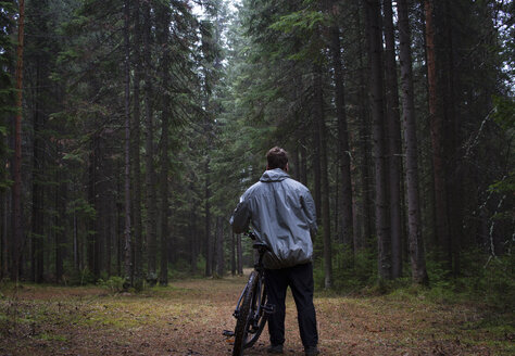 Rückansicht eines männlichen Mountainbikers mit Blick auf den Wald - ISF04534