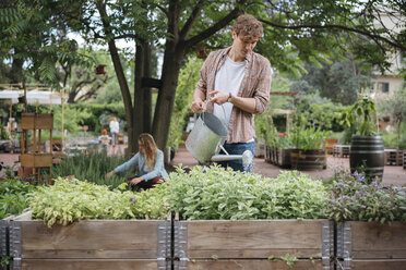 Young man and woman in urban garden, young man watering plants in trough using watering can - ISF04541