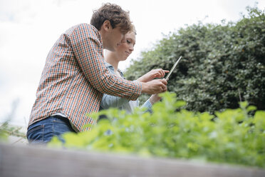 Junger Mann und Frau in einem städtischen Garten, die mit einem digitalen Tablet Pflanzen fotografieren, Blickwinkel niedrig - ISF04545